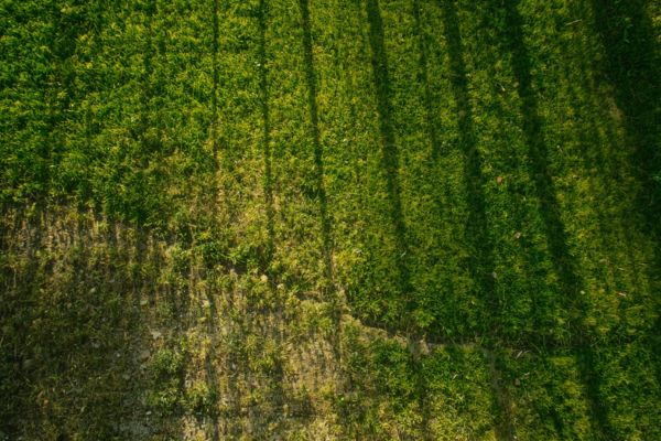 Discovery Pod | Jasper Lament | Nature Trust