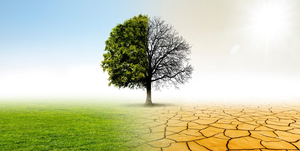 Nonprofit leadership and transformation for leaders in the nonprofit sector.
